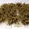 GMS Bush Tuft Winter | gmbt6