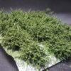 GMS Bush Tuft Dark Green | gmbt3