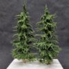 GMS Spruce Tree Set Dark Green – 2 pcs 15 cm | gms15d2
