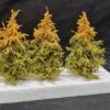 GMS Spruce Tree Set Autumn – 3 pcs 10 cm  | gmss4aa
