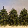 GMS Super Spruce Set – 3 pcs 10 cm | gmsss1
