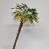 Palm tree TPV-27 1/43,1/35