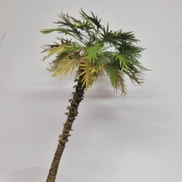Palm tree TPV-27 1/43,1/35