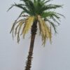 Handmade Palm Tree 20 cm – TNM-004 - Image 3