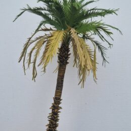 Palm tree 1/76,1/87 TNM-004