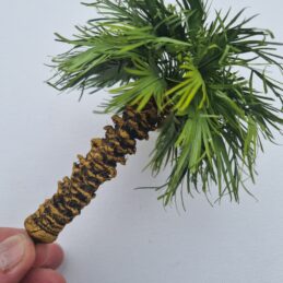Alternative view of Palm tree