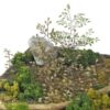 Matho Models 35037 Plants & Weeds C