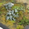 Matho Models 35039 Plants & Weeds E