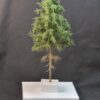 GMS Spruce Tree 30 cm | gmssm30