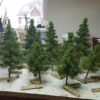GMS Pine Tree 15 cm | gms02