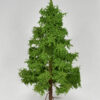 GMS Pine Tree 25 cm | gms04