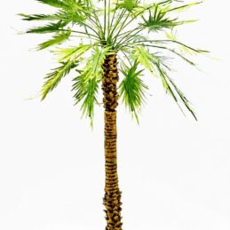 Alternative view of Handmade Palm Tree 20 cm – TNM-004
