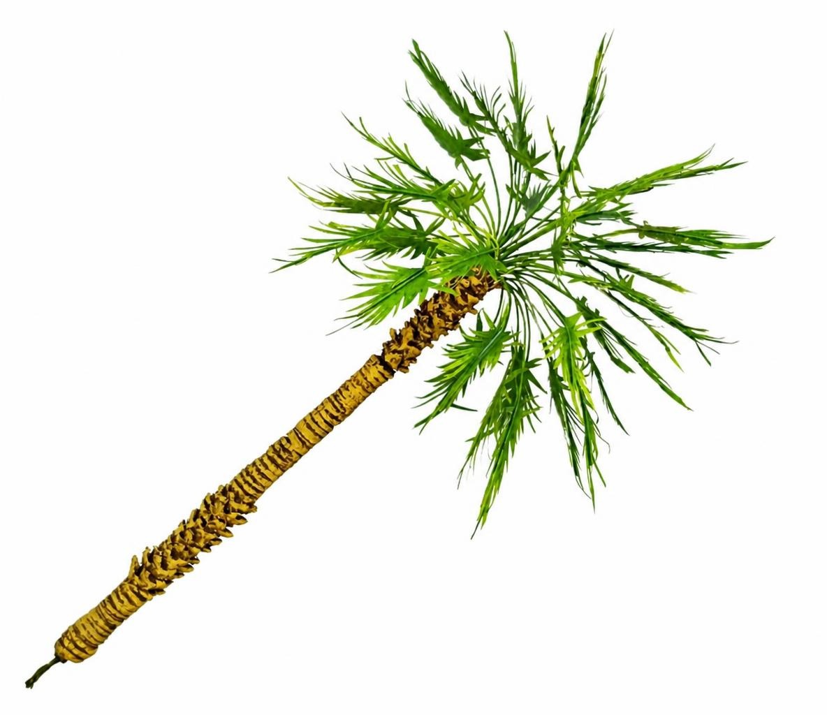 Handmade Palm Tree 20 cm – TNM-004