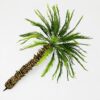 Thick Palm Tree 28 cm – Handmade Model Palm – TPV-024 - Image 2