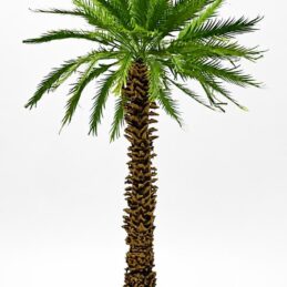 Thick Palm Tree 28 cm – Handmade Model Palm – TPV-024