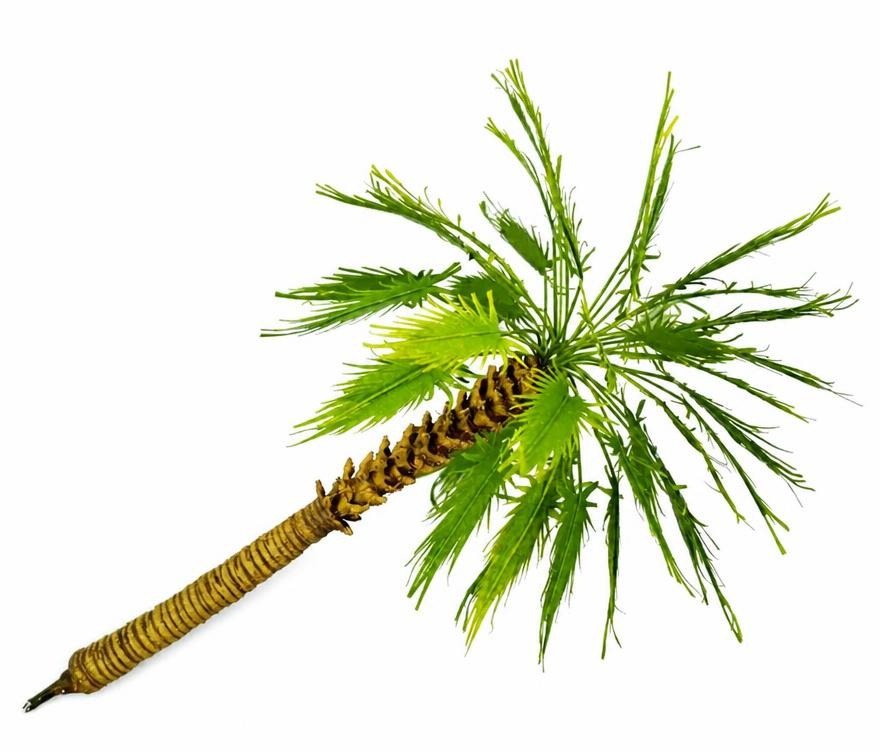 Handmade 18 cm model palm tree with slender trunk TNM-014
