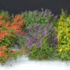 GMS Blossom Bush Set – 6 pcs | gmbushc