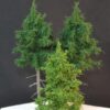 GMS Mixed Tree Set Medium Green – 3 pcs (2x15cm long trunk, 1x10cm spruce) | gmss