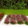 GMS Flowering Grass Tuft Purple | gmfgtp