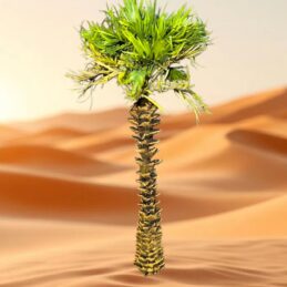 Palm tree 1/35 23-25 cm TPV-010