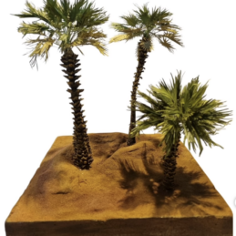 Palm Trees