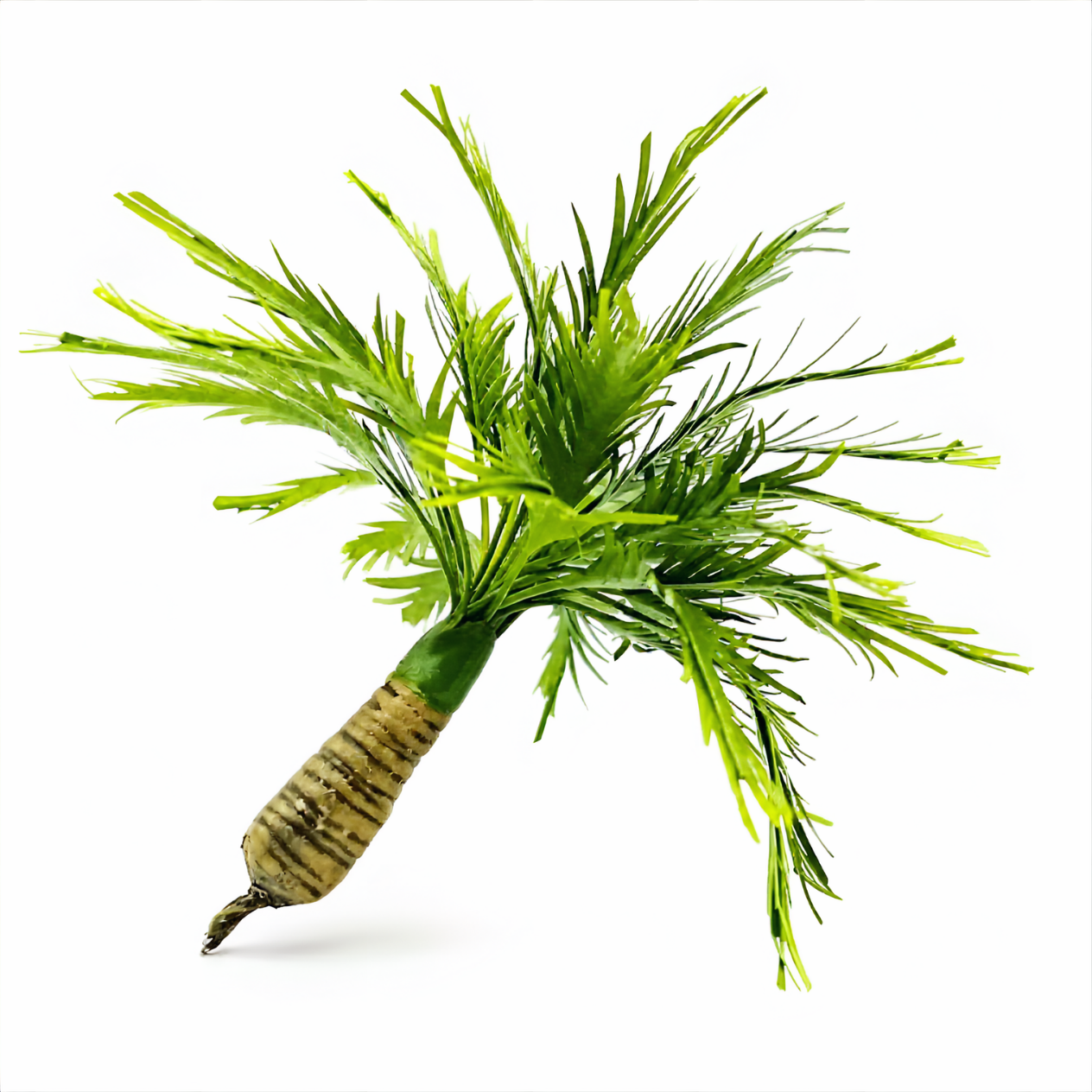 GMiniatureS EMG-003 10 cm King Palm for dioramas