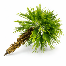 GMiniatureS EMG-012 thick trunk palm tree for dioramas