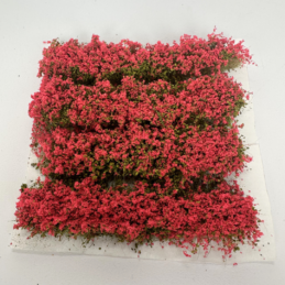 Alternative view of GMS Flowering Bush Strip – Fuchsia | gmbsf