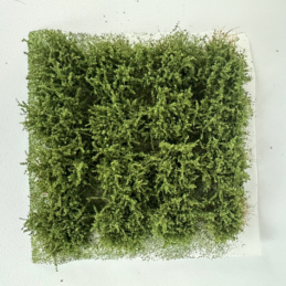 Alternative view of GMS Bush Tuft Medium Green | gmbt2