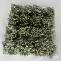 Alternative view of GMS Bush Tuft White | gmbtwh