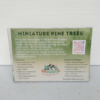 GMS Spruce Tree Set Medium Green – 3 pcs 10 cm | gmss4m - Image 4